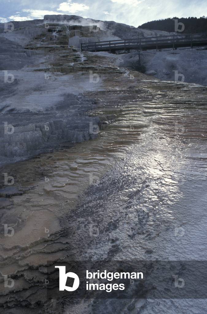 Mammoth, upper terraces, Yellowstone National Park, United States of America, America