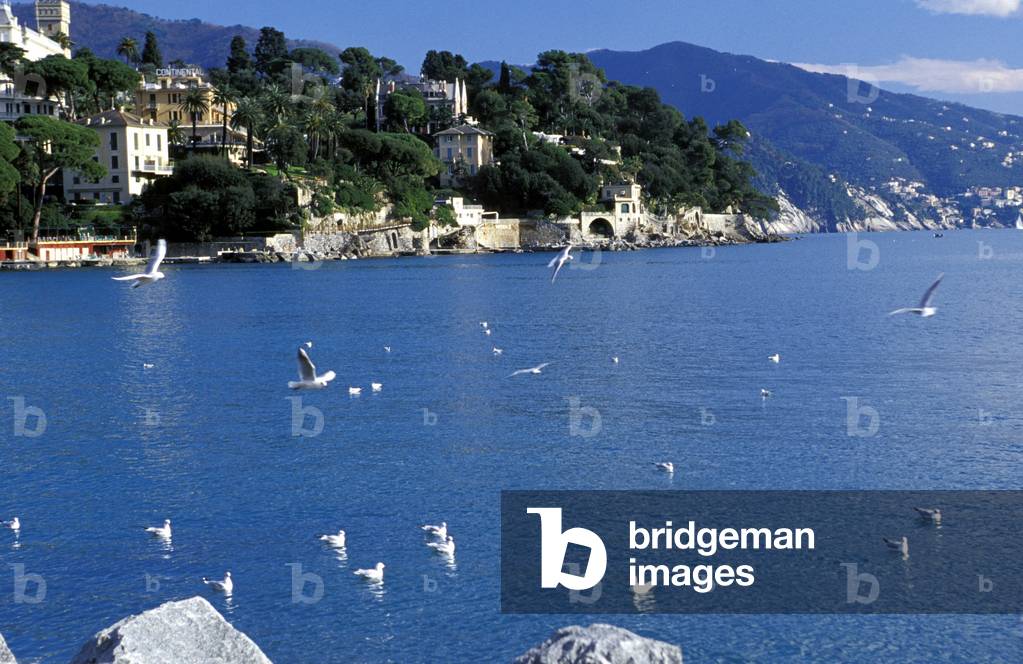 Seaside, Santa Margherita Ligure, Ligury, Italy