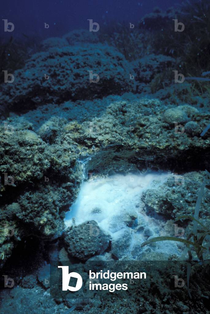 Sulphureous formations, CNR volcanology research, Aeolian Islands, Sicily, Italy