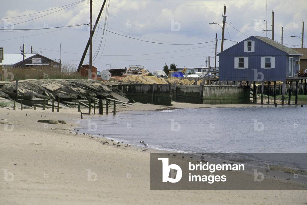 beach, mores beach, usa