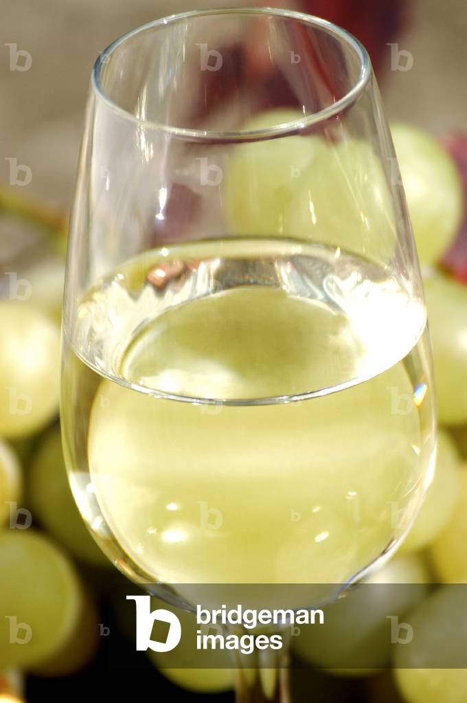 Vernaccia di San Gimignano, Tuscany, Italy