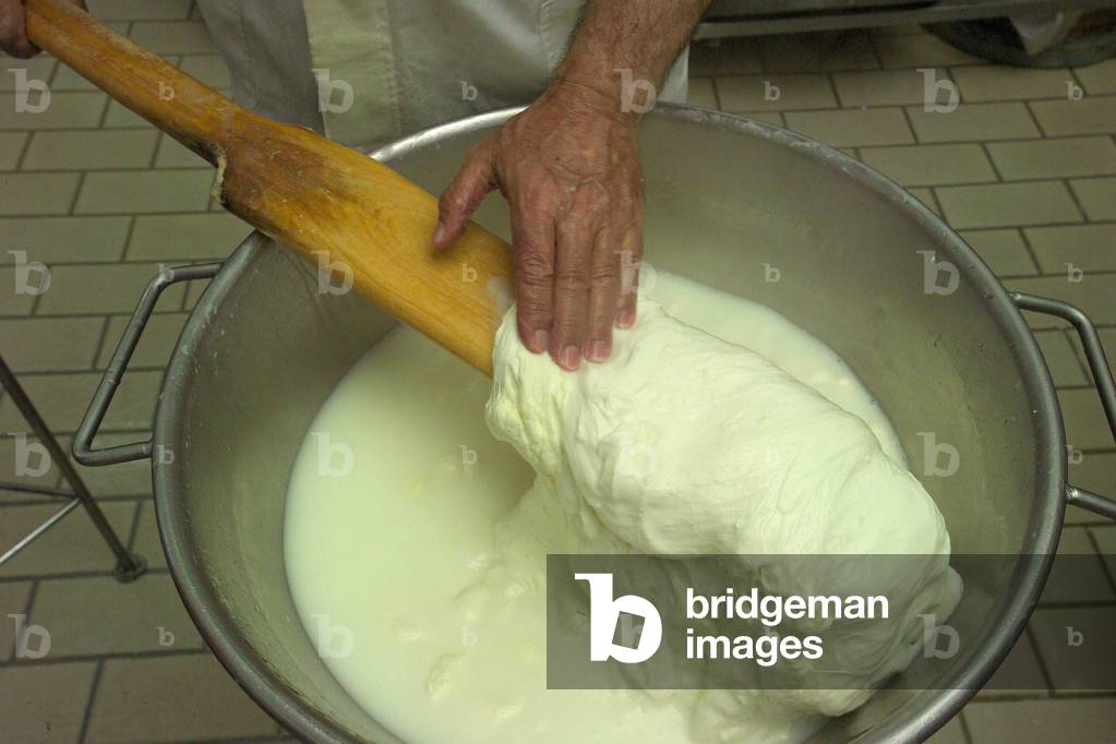 Preparation of Fior di latte, Salerno, Campania, Italy