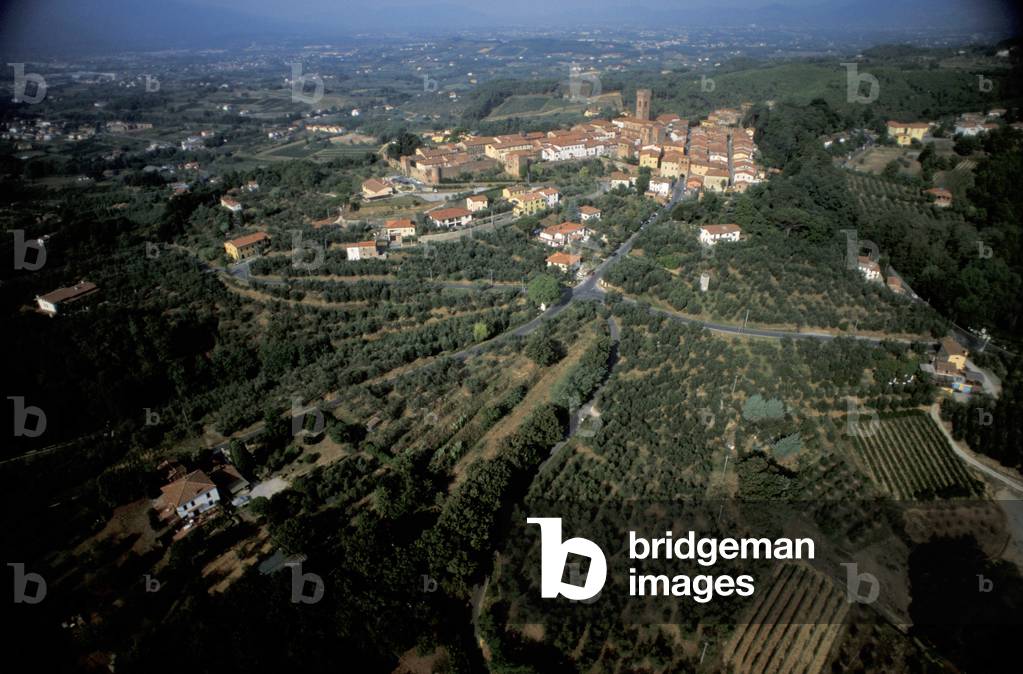 Cityscape, Montecarlo, Tuscany, Italy