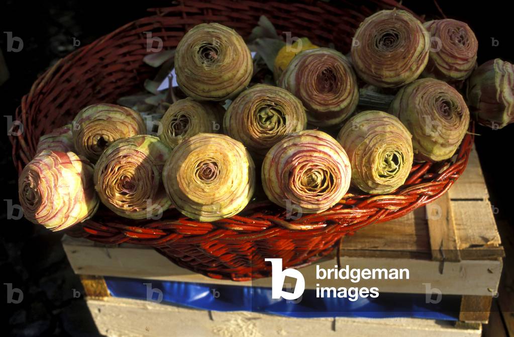 Artichokes, Market in Campo dei Fiori, Rome, Lazio, Italy