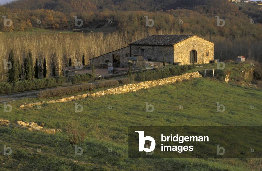 Podere Terreno, Radda in Chianti, Tuscany, Italy.