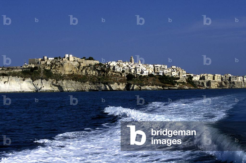 Cityscape of Vieste, National park of Gargano, Foggia, Puglia, Italy.