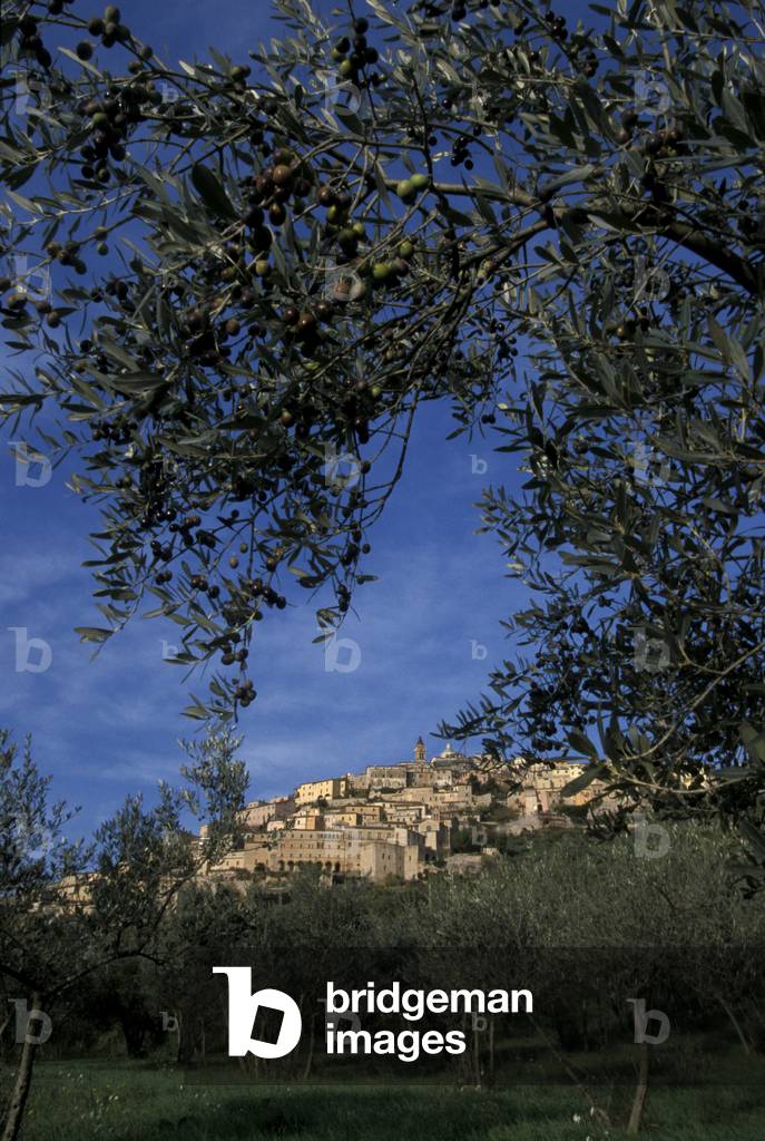Cityscape, Trevi, Umbria, Italy