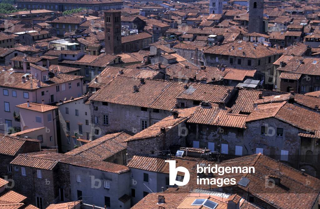 Cityscape from Guinigi tower, Lucca, Tuscany, Italy.