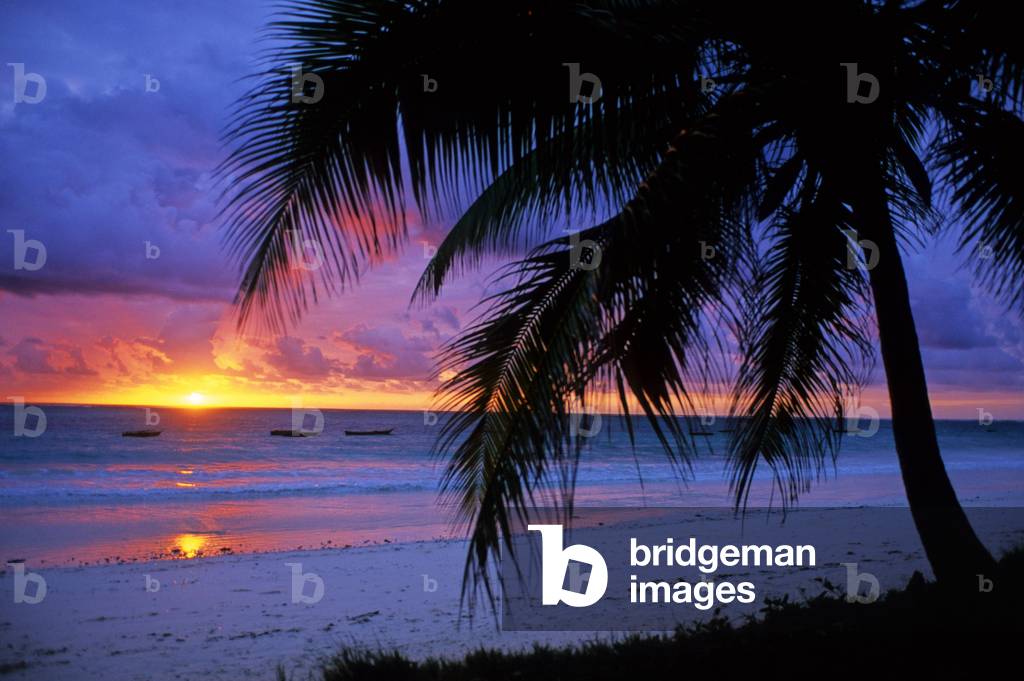 Dawn on the beach, Zanzibar, Tanzania, East Africa, Africa