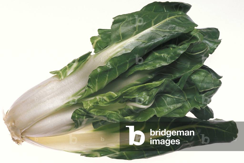 Beta Vulgaris, Italy
