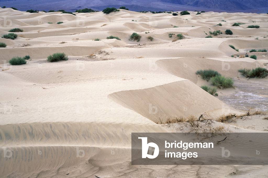 mesquite flat sand dunes, death valley national park, usa