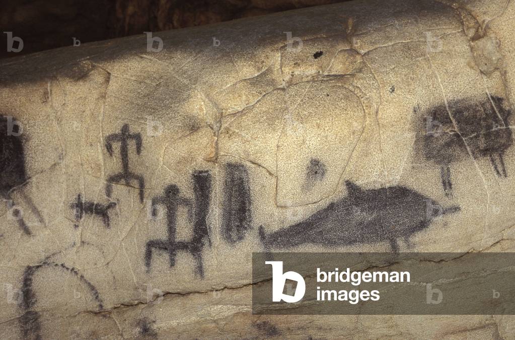Archaeological graffiti, Grotta del Genovese, Levanzo, Aegadian Islands, Sicily, Italy