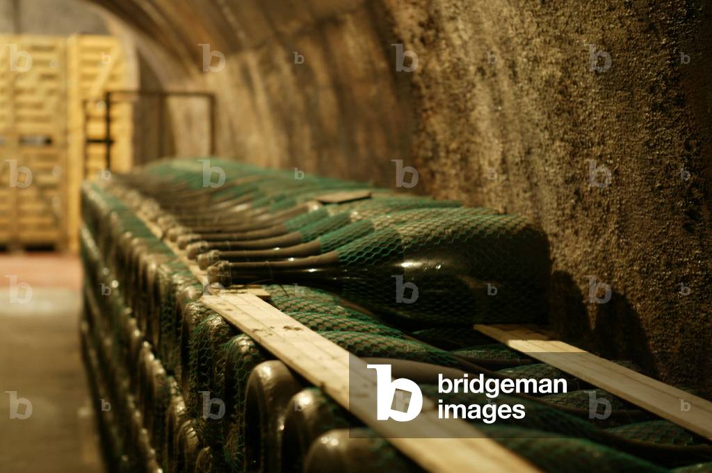 The cellar, Bellavista winery, Erbusco, Lombardy, Italy