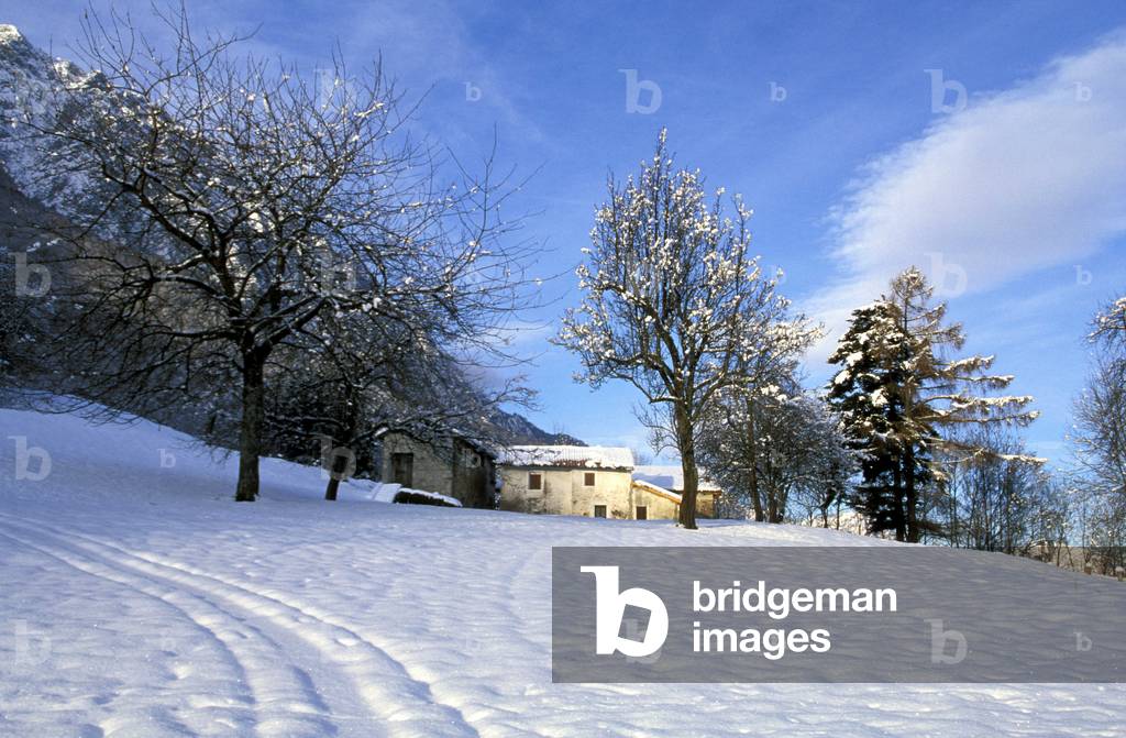 Farmsteads with snow, Primaluna, Lombardy, Italy