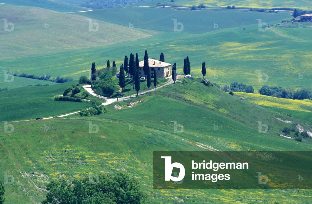 Farm and cypress, Val d'Orcia, Tuscany, Italy