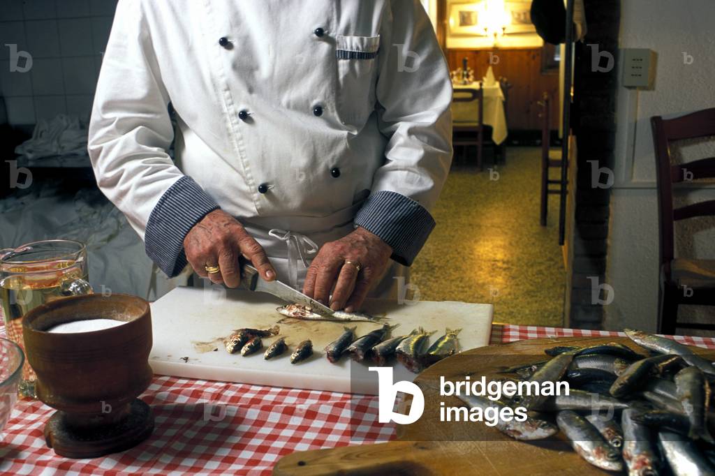 Pilchards, Venice, Veneto, Italy