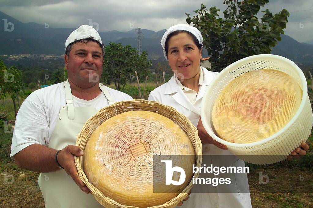 Pecorino Bagnolese cheese, Nigro cheese maker, Bagnoli Irpino, Campania, Italy