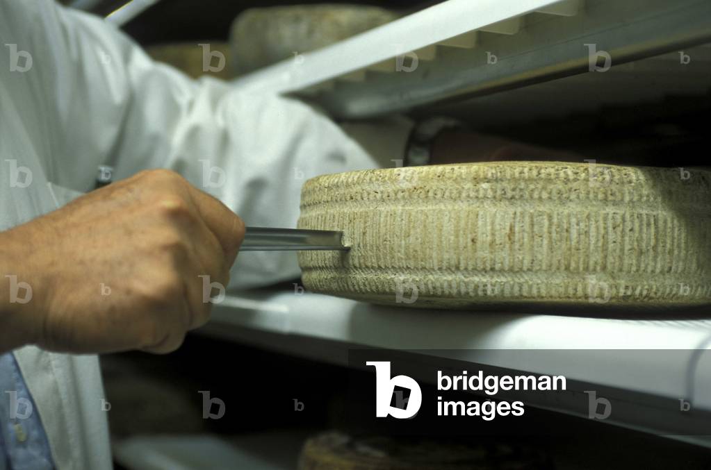 Carlo Fiori tasting cheese, Guffanti cheese dealer, Arona, Piedmont, Italy.