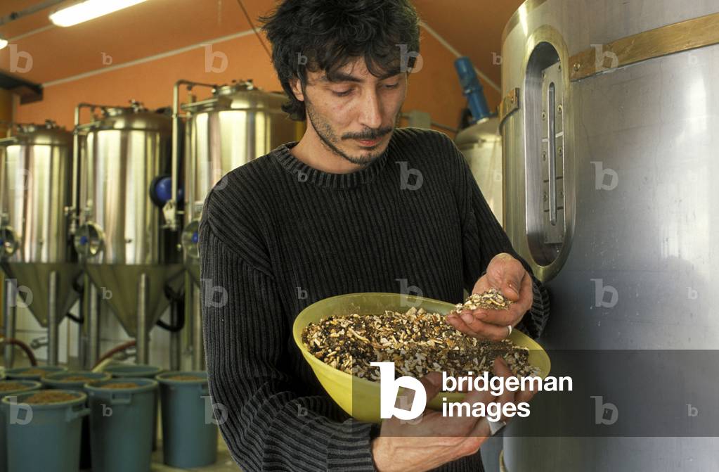 Preparation of the spices for the beer, Piozzo, Piedmont, Italy