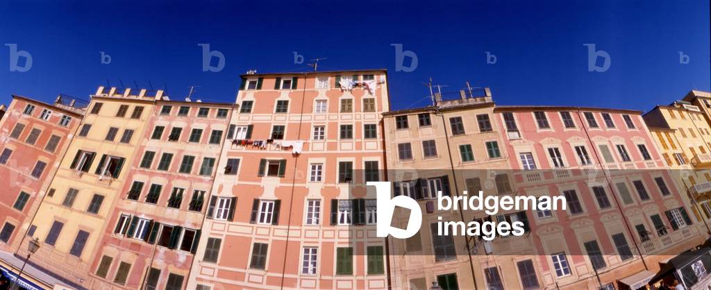 Houses, Camogli, Liguria, Italy