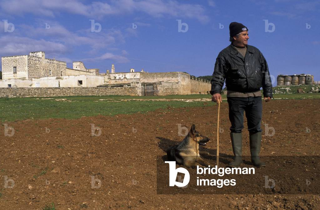 Brusca farm, Nardò, Puglia, Italy