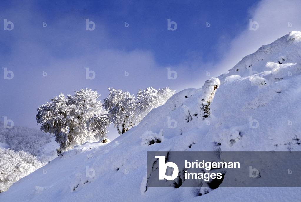 Snowfall, Italy