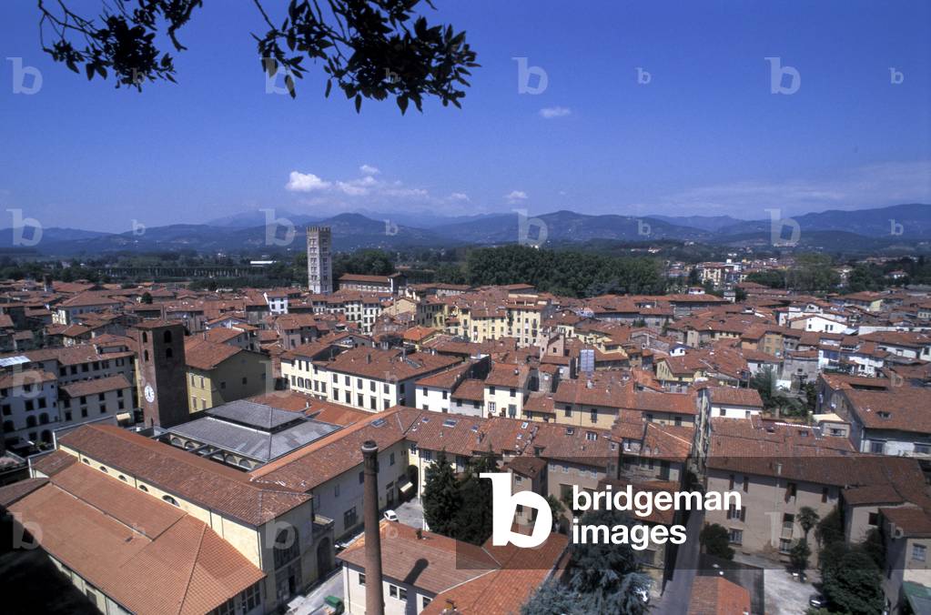 Cityscape from Guinigi tower, Lucca, Tuscany, Italy.