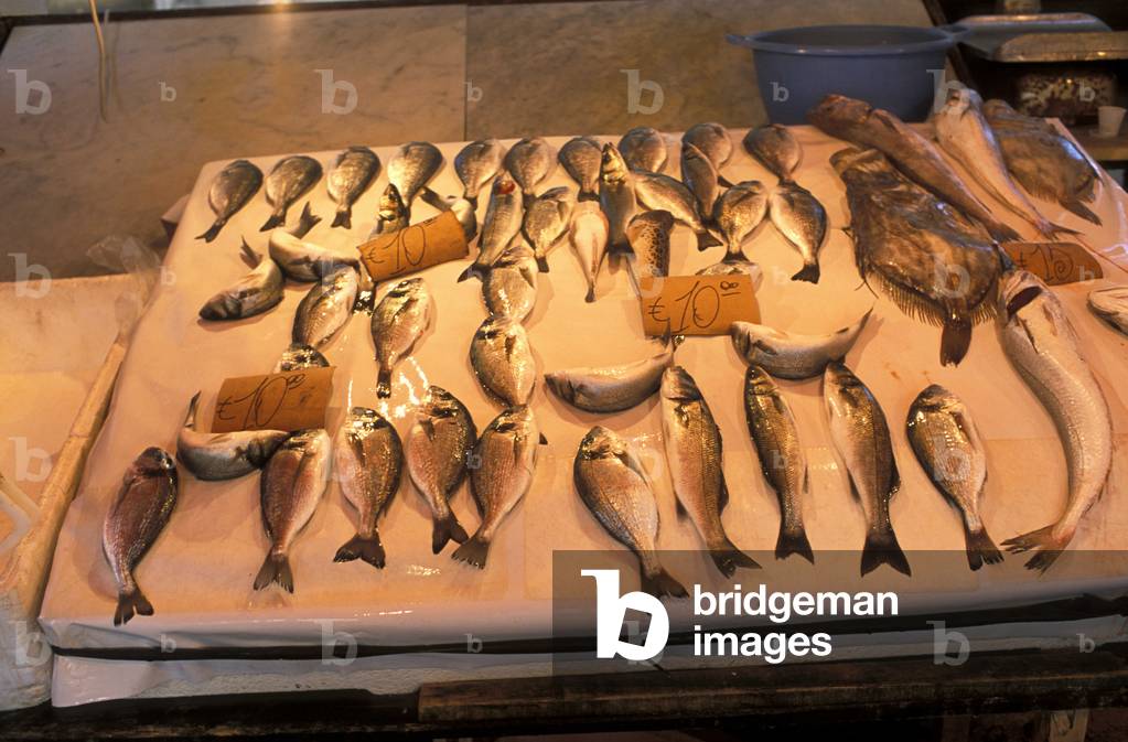 Fish market, Trapani, Sicily, Italy