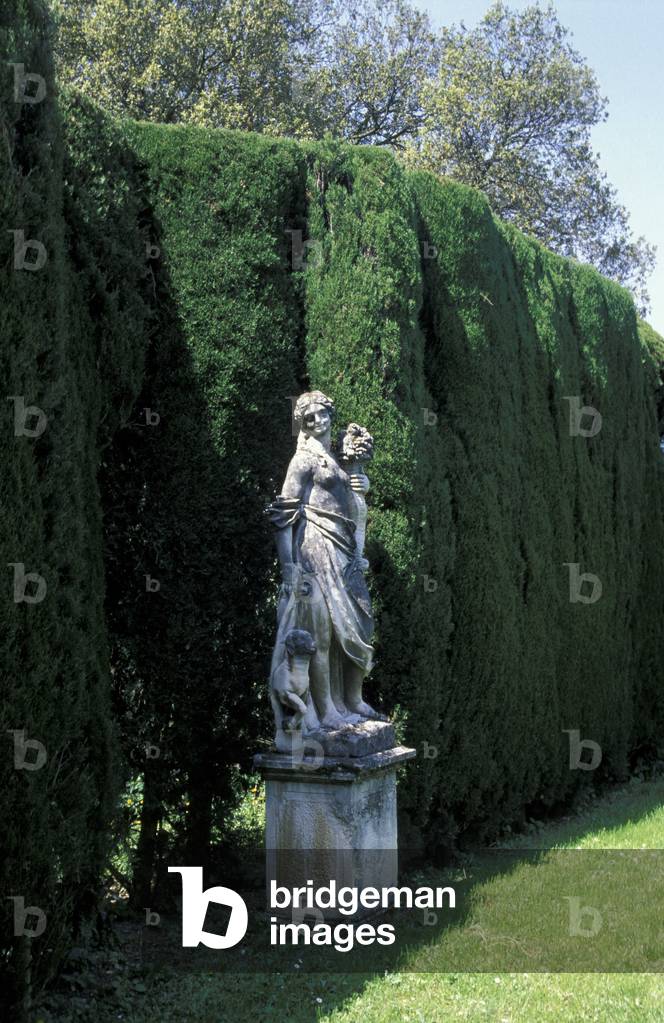 Immagine di Fotografia "Villa Capponi"
