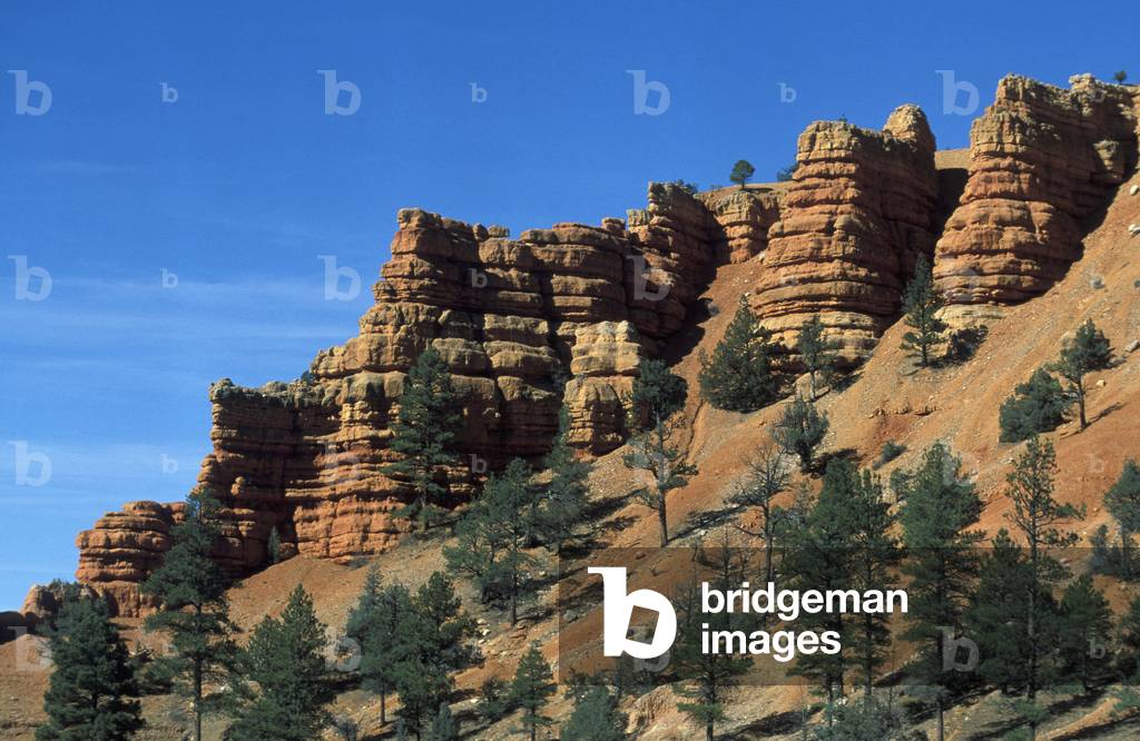 Red Canyon national park, Utah, United States of America, North America