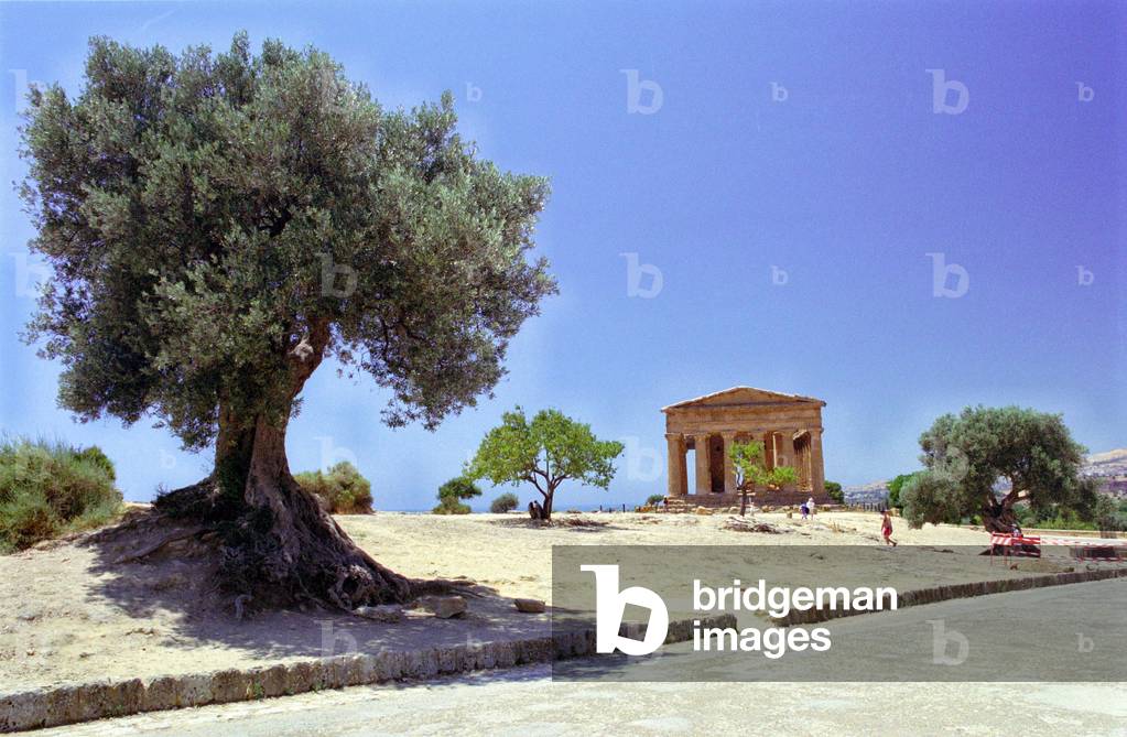 Valle dei Templi, Agrigento, Sicily, Italy