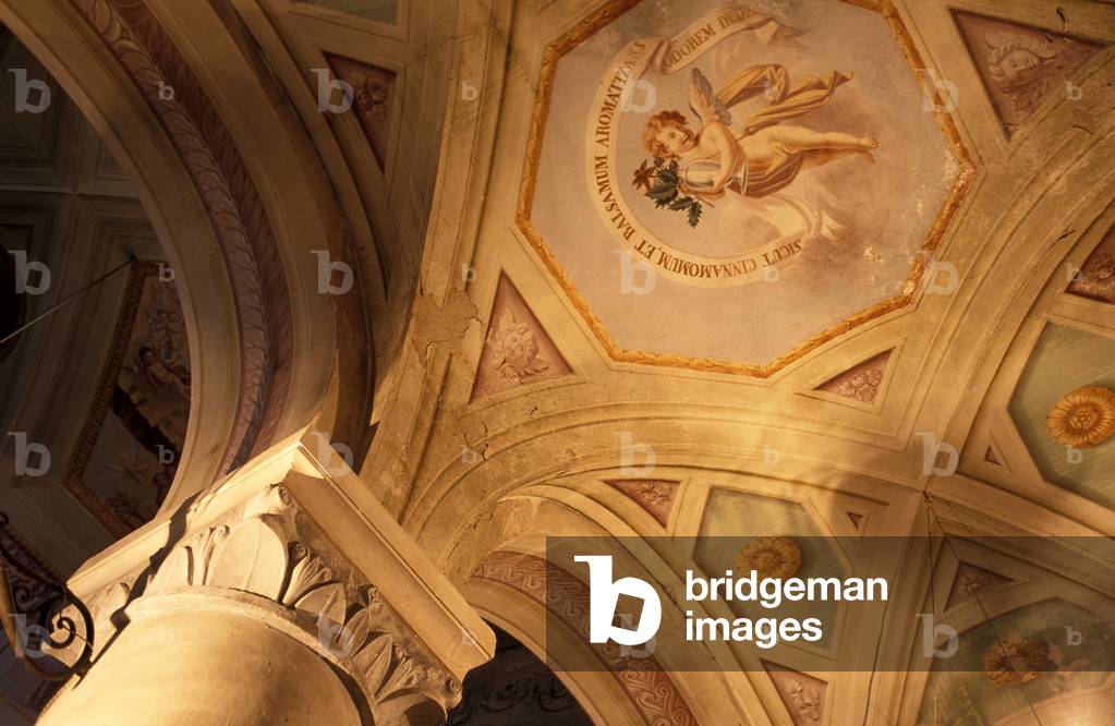 Neoclassical vault, Santa Maria Novella church, Pievi del Chianti, Tuscany, Italy.