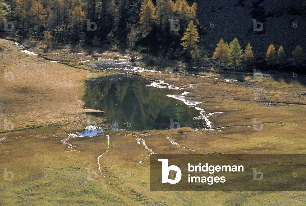 Alpine pond, Valtellina, Lombardy, Italy