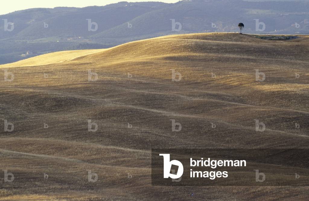 Landscape, Siennese country, Tuscany, Italy.