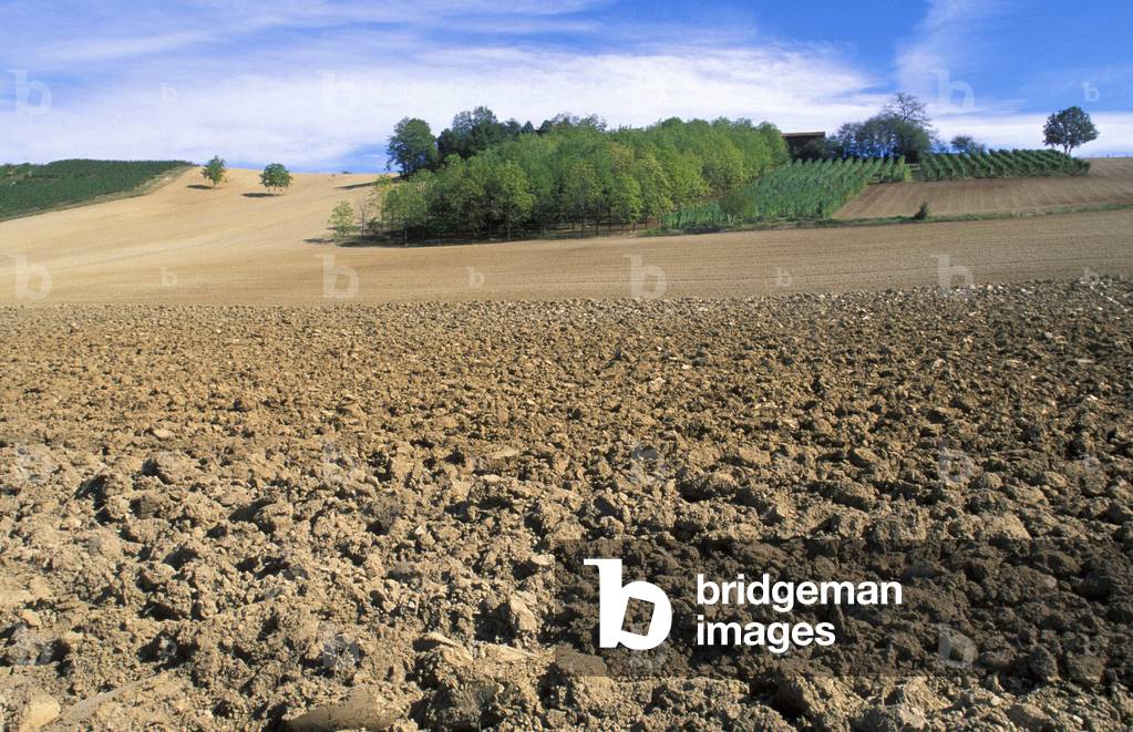 Clods Oltrepo Pavese, Lombardy, Italy