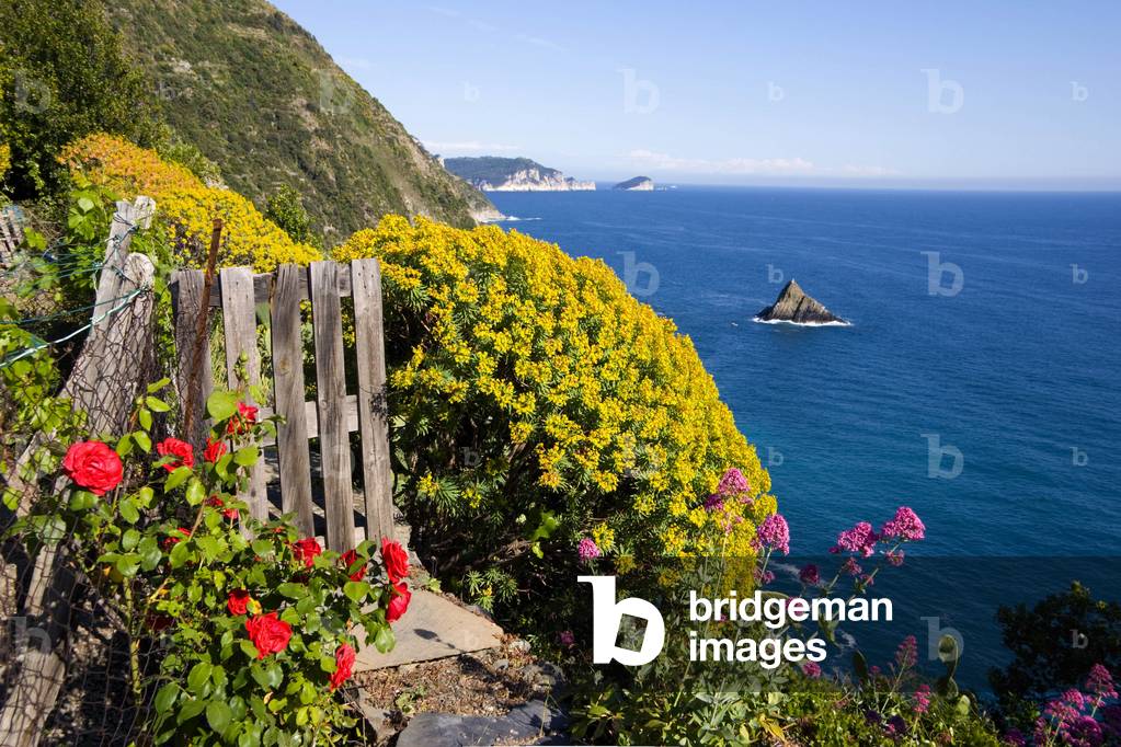 Coast, Monesteroli, Ligury, Italy