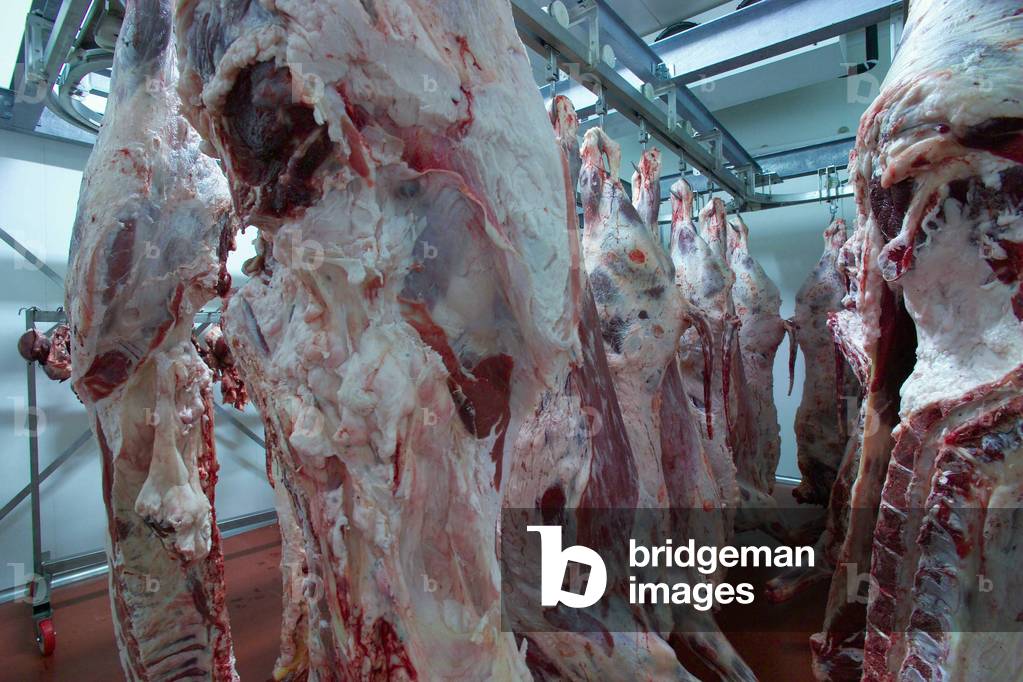 Meat of buffalo, Naples, Campania, Italy