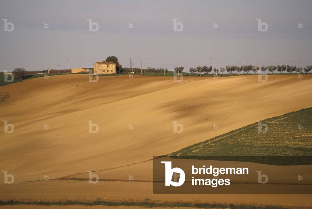 Bild von Fotografie "Landleben"