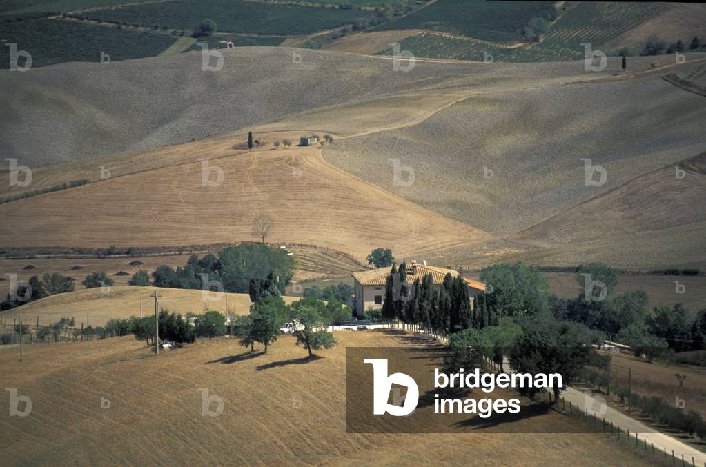 Landscape around Pienza, Tuscany, Italy