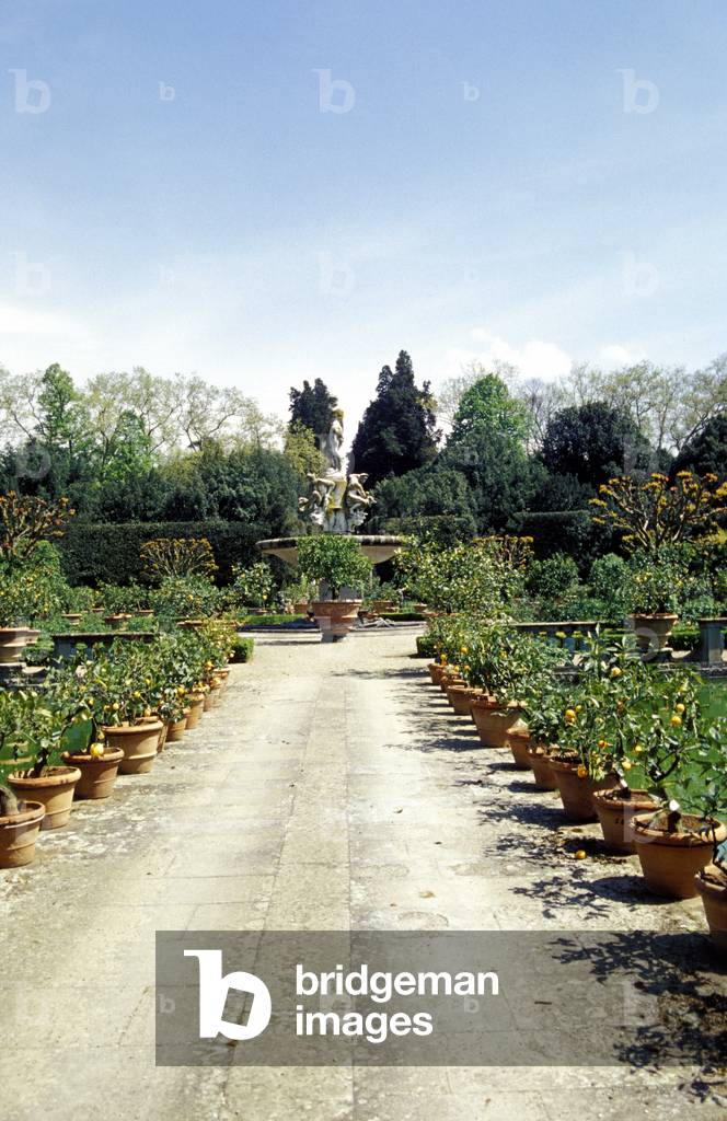 Garden of Boboli, Florence, Tuscany, Italy.