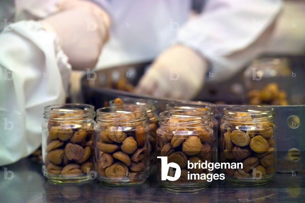Castagne del Prete production, Perrotta factory, Montella, Irpinia, Campania, Italy