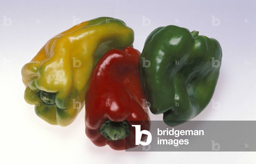 Capsicum Annuum, Pepper, Italy
