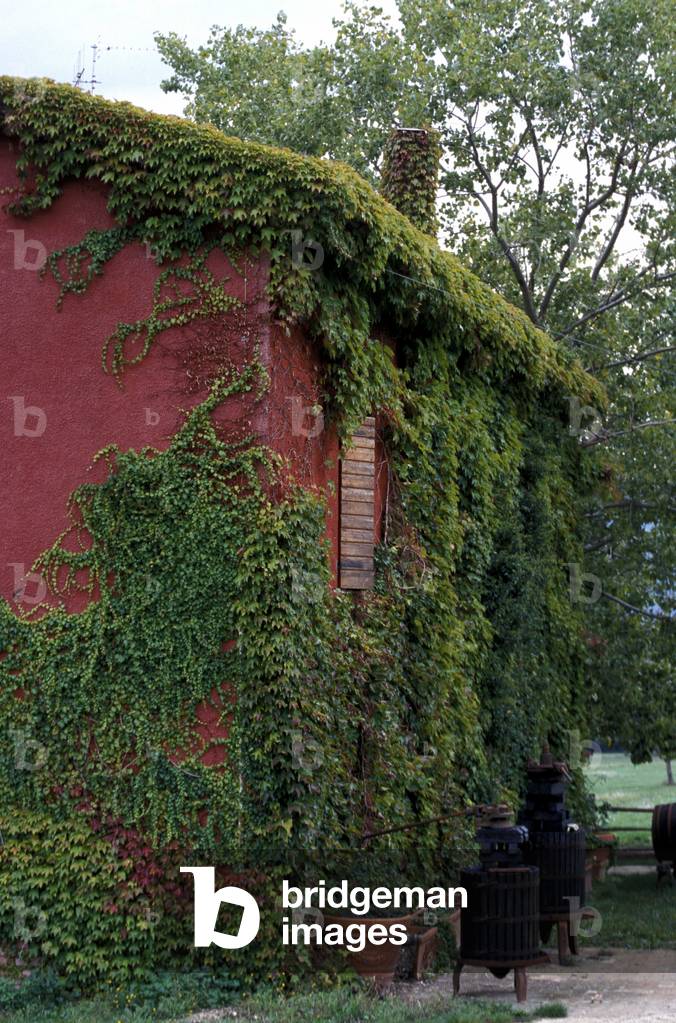 Farmhouse on the outskirts of Vasconi, Matelica, Marche, Italy