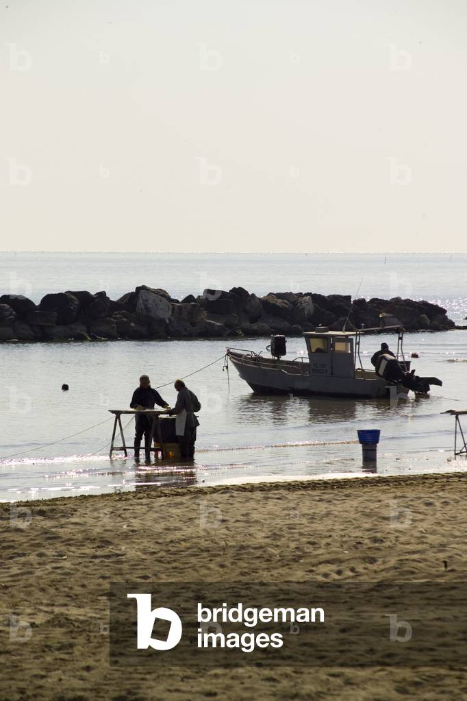 Beach, Montesilvano Spiaggia, Abruzzo, Italy