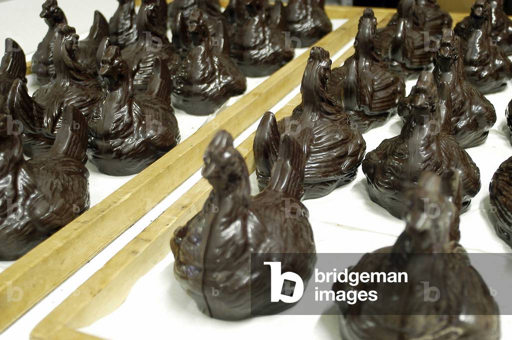 Hen, Spes factory, Turin, Piedmont, Italy