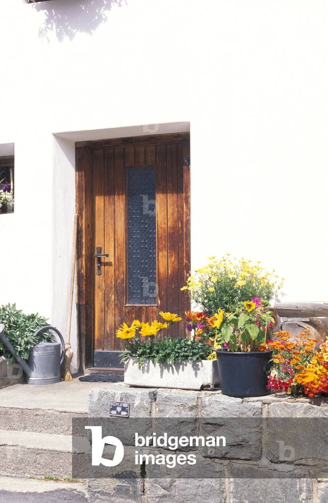 Pot of flowers at the entrance of a house
