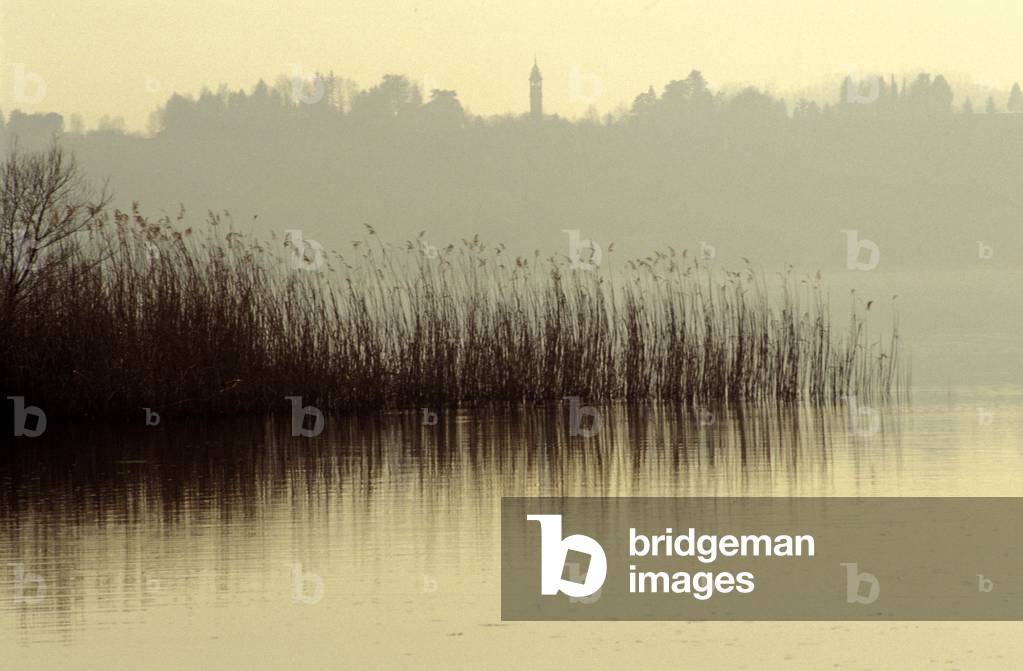 Annone lake, Brianza, Lombardy, Italy