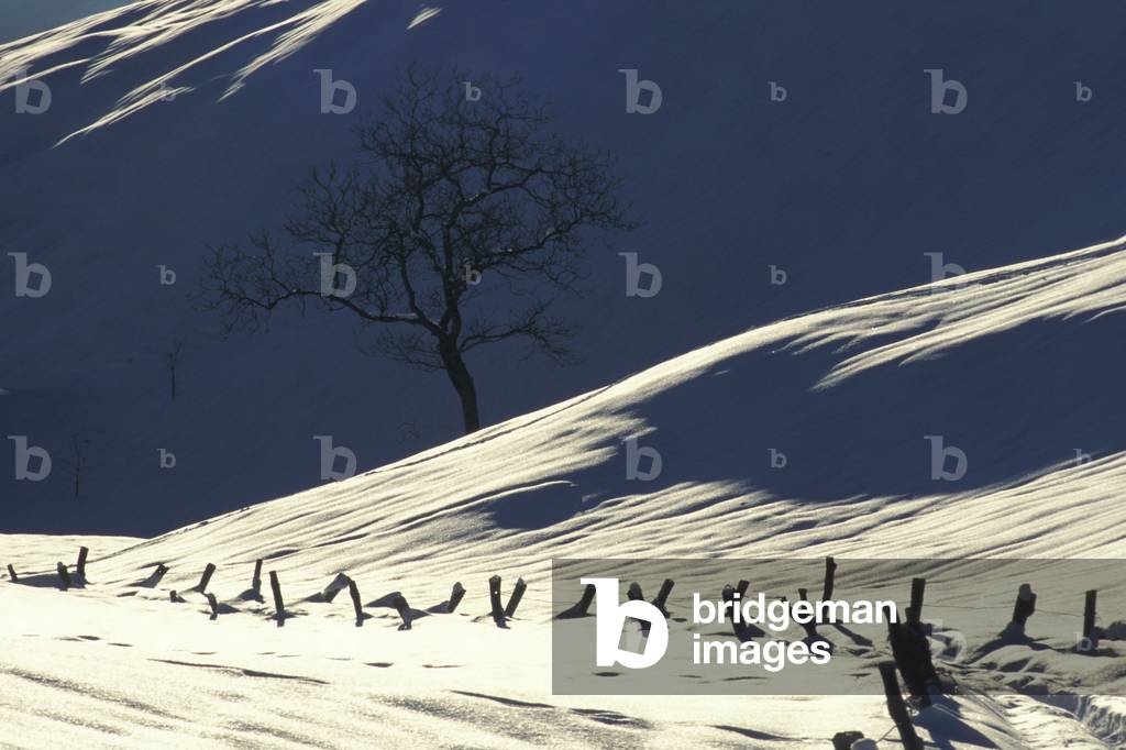 Snow, Piani di Nava, Lombardy, Italy