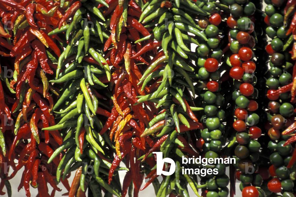 Chile pepper, Diamante, Campania, Italy