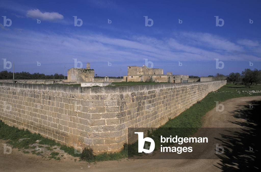 Carignano (Carignan) Grande farm, Nardò, Puglia, Italy